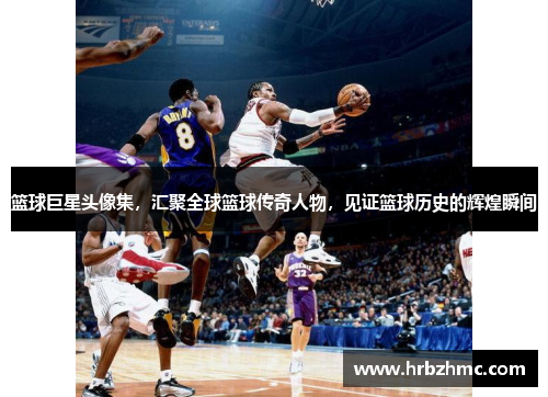 篮球巨星头像集，汇聚全球篮球传奇人物，见证篮球历史的辉煌瞬间
