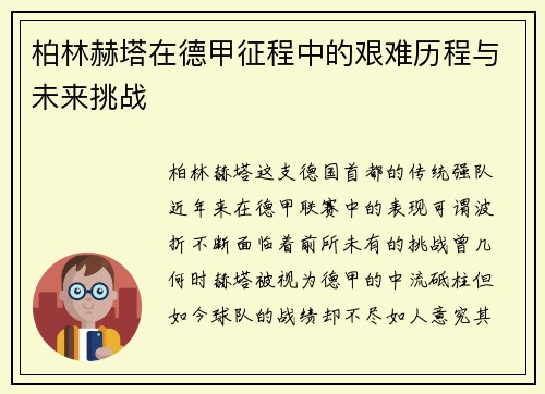 柏林赫塔在德甲征程中的艰难历程与未来挑战